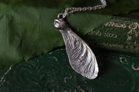Image 1 of Vera samara di acero sicomoro rivestita d'argento 10