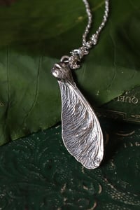 Image 3 of Vera samara di acero sicomoro rivestita d'argento 10