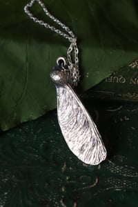 Image 3 of Vera samara di acero sicomoro rivestita d'argento 9