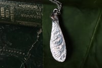 Image 1 of Vera samara di acero sicomoro rivestita d'argento 8