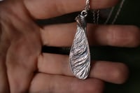 Image 2 of Vera samara di acero sicomoro rivestita d'argento 8
