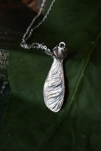 Image 3 of Vera samara di acero sicomoro rivestita d'argento 8