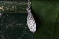 Image 1 of Vera samara di acero sicomoro rivestita d'argento 7
