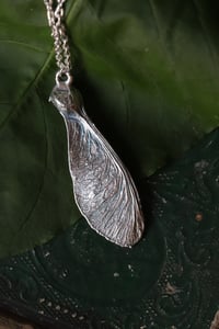 Image 3 of Vera samara di acero sicomoro rivestita d'argento 6