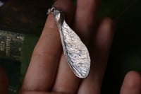 Image 1 of Vera samara di acero sicomoro rivestita d'argento 6