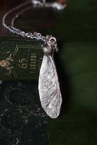 Image 2 of Vera samara di acero sicomoro rivestita d'argento 5