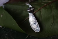 Image 3 of Vera samara di acero sicomoro rivestita d'argento 3