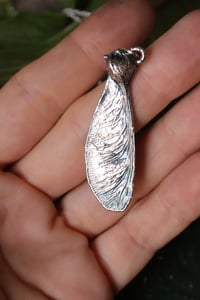 Image 1 of Vera samara di acero sicomoro rivestita d'argento 3