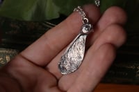 Image 3 of Vera samara di acero sicomoro rivestita d'argento 2