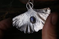 Image 2 of Vera foglia di ginkgo biloba rivestita d'argento con labradorite blu