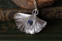Image 3 of Vera foglia di ginkgo biloba rivestita d'argento con labradorite blu
