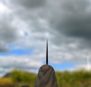 Image of 160 petty