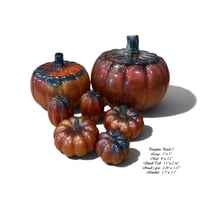 Image 8 of IT'S FALL Y'ALL