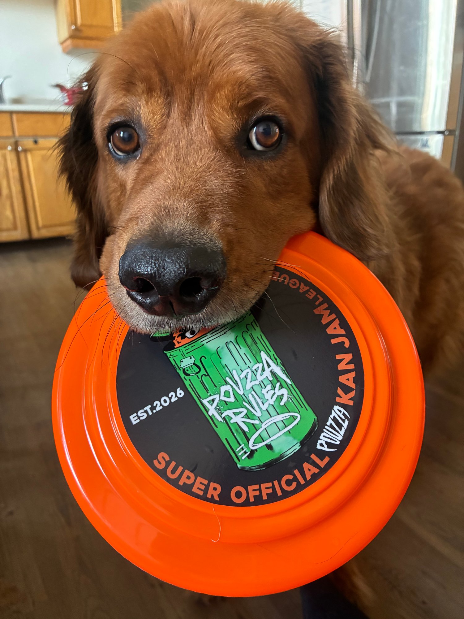 Image of Frisbee  Pouzza " Super Official Kan Jam League" Disque Volant