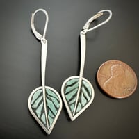 Image 2 of Sage Leaves, long