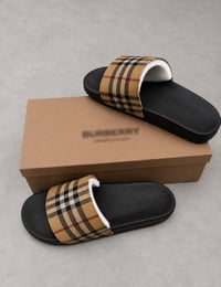 BB SLIDES
