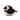 Chubby Bird: Puffin