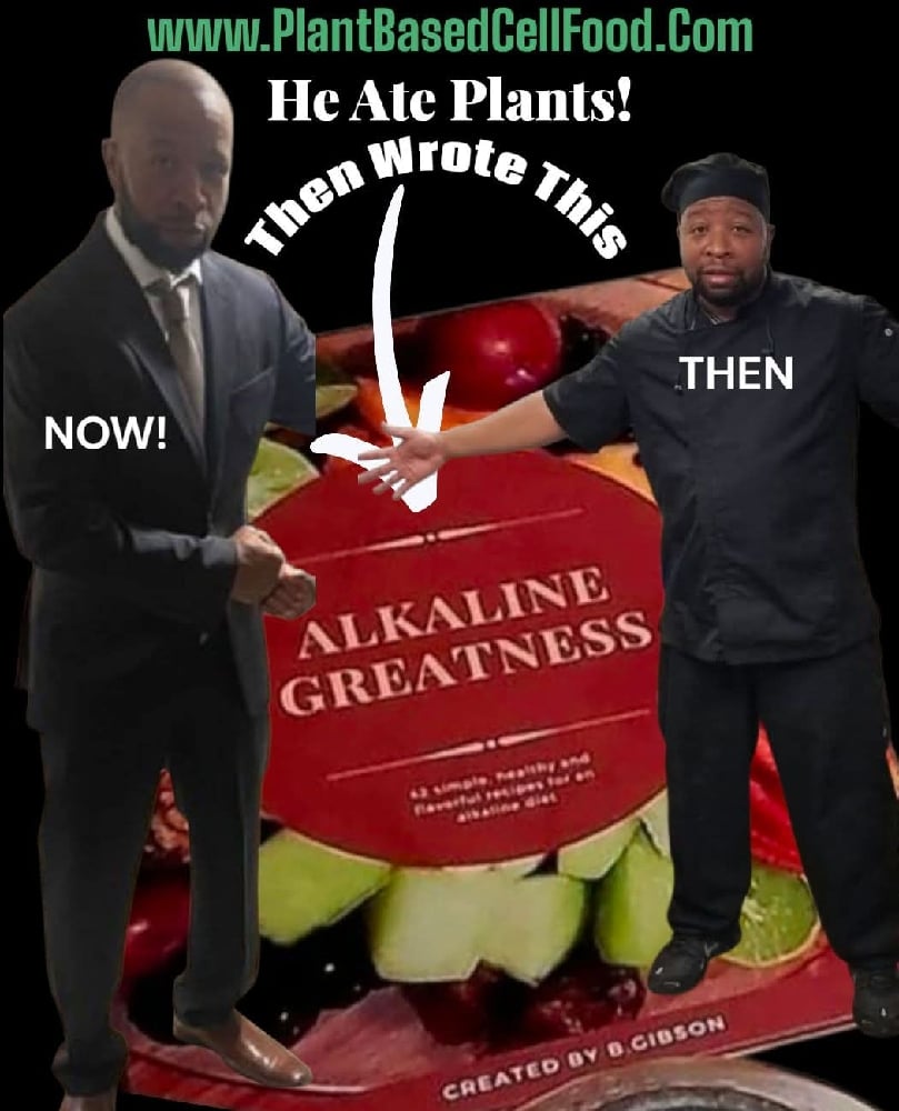 Alkaline Recipe/Cookbook. Chef's Apron. Measuring Spoons. Tea Infusers. K-Cups. Coffee Mug. Journal.