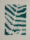 Male Fern A4 - Original Botanical Monoprint 