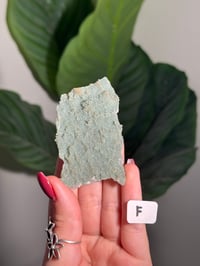 Image 6 of DOUBLE SIDED SUGAR COATED FOREST GREEN APOPHYLITE CRUST -INDIA- LOT 1