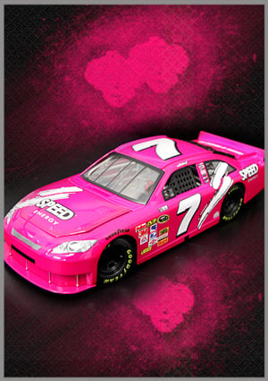 2010 #7 Robby Gordon Speed Energy Pink Unleaded Promo COT 1/64 CFS NASCAR Diecas 