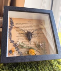 Image 1 of Gilded Cicada