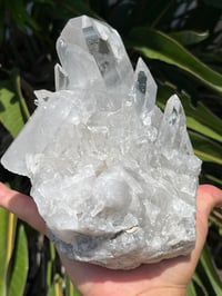 Image 16 of Clear Quartz Points Cluster Statement Piece #2446