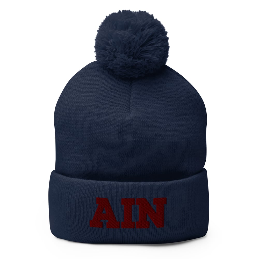 AIN Pom-Pom Embroidered Beanie