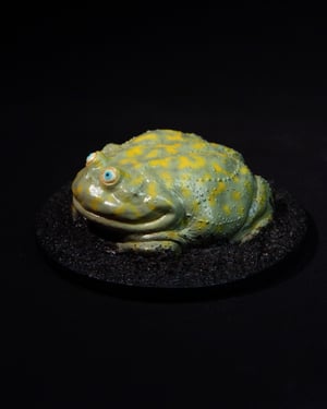 Budgett’s Frog Model Blue Eyes