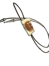 Image 3 of Wall Street Porcelain Bolo Tie 