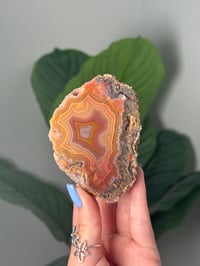 Image 1 of OMBRE PINK SUNSET LAGUNA AGATE