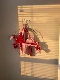 Image 5 of Pink & Red Velvet Heart Set