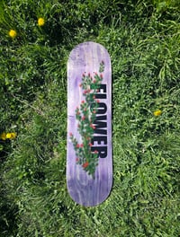 Image 1 of Rose Shrub Board Purple