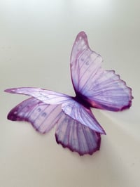 Image 1 of Lavender (Larger single butterfly)