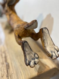 Image 3 of Steady On- Julie Kradel