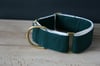 Forest Green // Martingale Collar