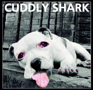 Image of Cuddly Shark