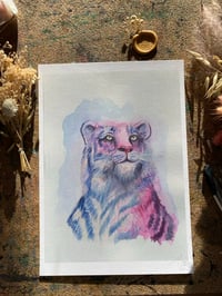 Image 1 of Print Tigre Rose 