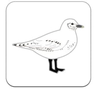 Image 6 of Ivory Gull - No.137 - UK Birding Series