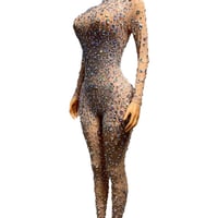Image 1 of Sparkly See Through Jumpsuit holiday wear