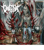 Image of Sadistic Reflections of Blood RE-Release(Sevared)