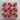 Flowers Pink & Red B-Stock 