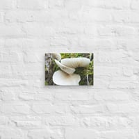 Image 5 of Mushroom Tree Canvas Print 