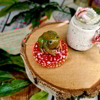 Image 1 of Słoiczek - Żaba na muchomorze 🐸🍄