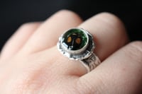 Image 1 of Dead Good harlequin ladybird ring