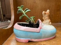 Image 3 of Ghost Echeveria in Mouse Pink & Blue Shoe