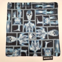 Image 2 of Phantom - Xray