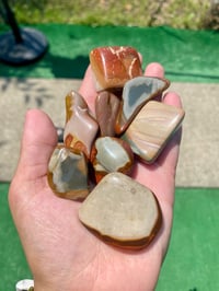 Desert Jasper tumbled 