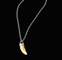 *CUSTOM* Canine Tooth Necklace