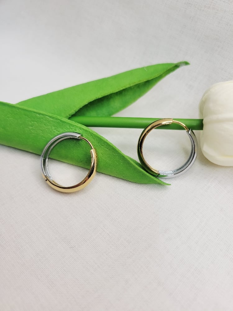 Image of Taylor Hoop Earrings 